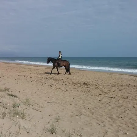 Residencial Apartmán Denia